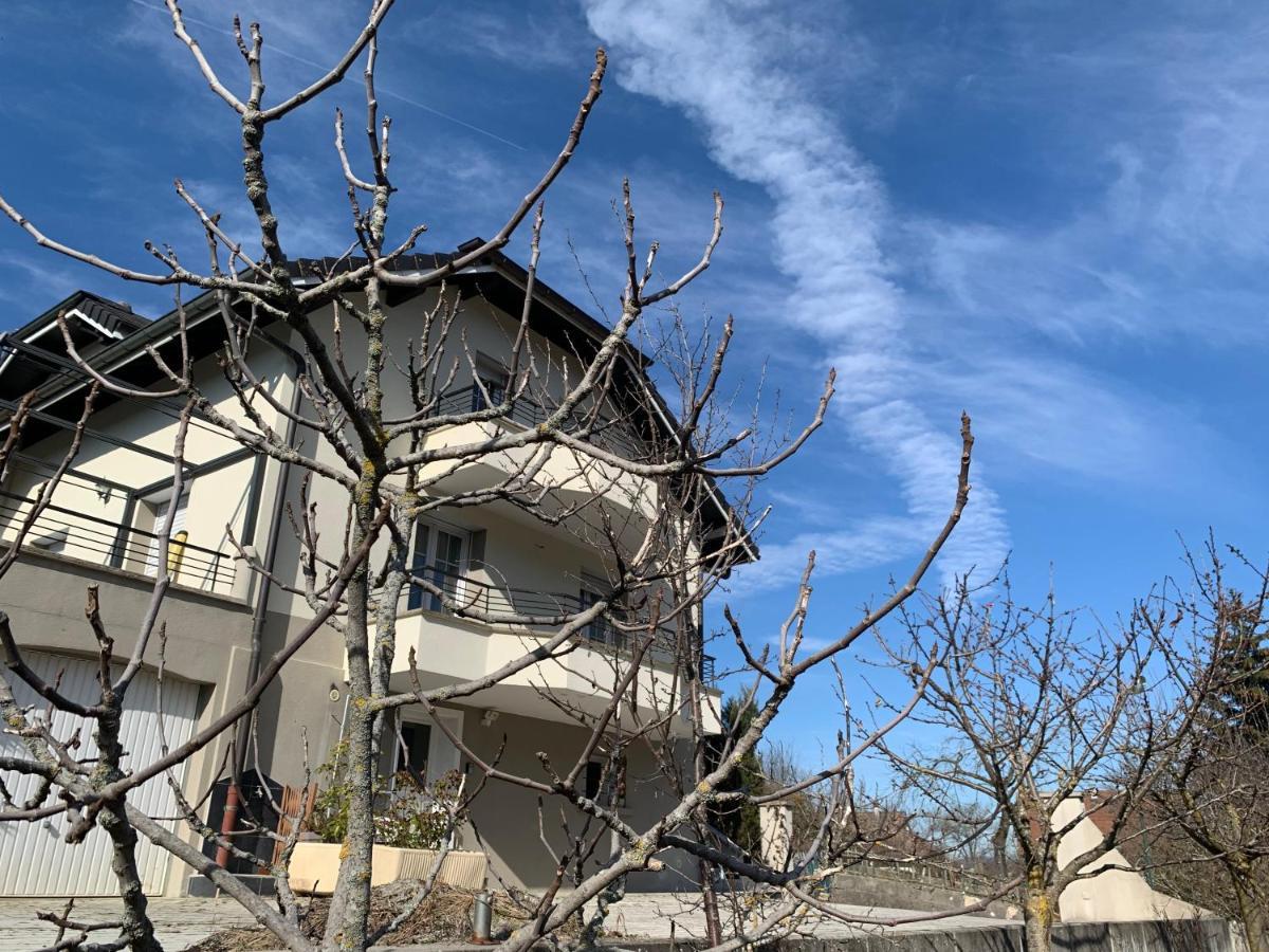 Appartement Detox Au Pied Du Semnoz Seynod Exterior foto