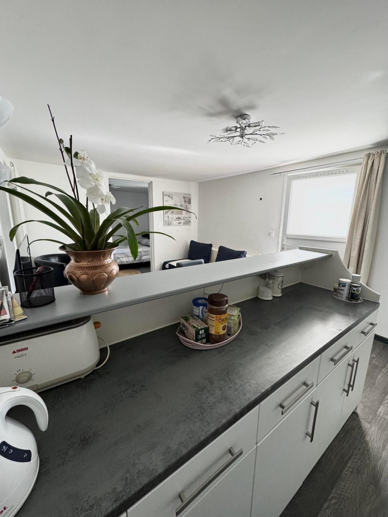 Appartement Detox Au Pied Du Semnoz Seynod Exterior foto